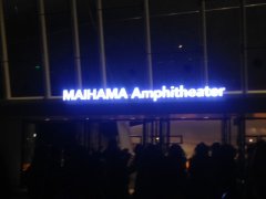  [LIVE