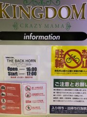 NO.115 / THE BACK HORN / AJ