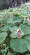 however great or small these may be,uǂȂɑ傫ĂAĂAv